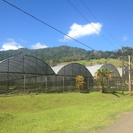 Parador Villas Sotomayor Adjuntas Luaran gambar