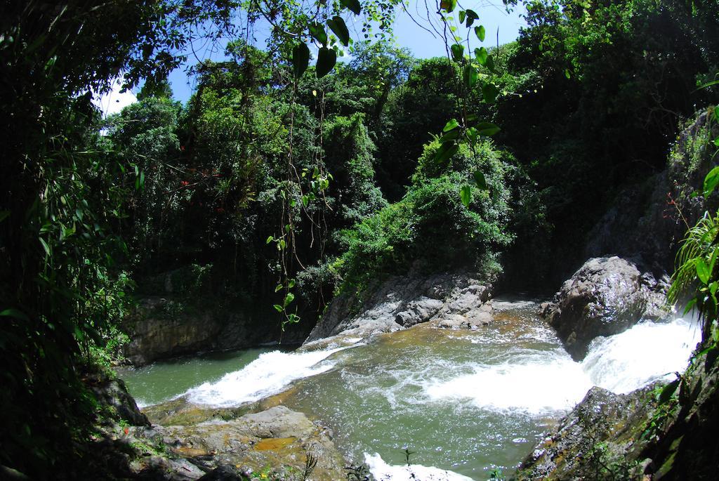 Parador Villas Sotomayor Adjuntas Luaran gambar