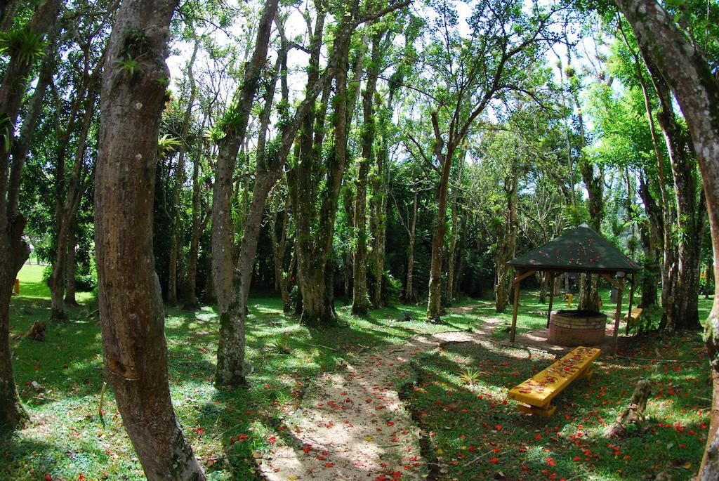 Parador Villas Sotomayor Adjuntas Luaran gambar